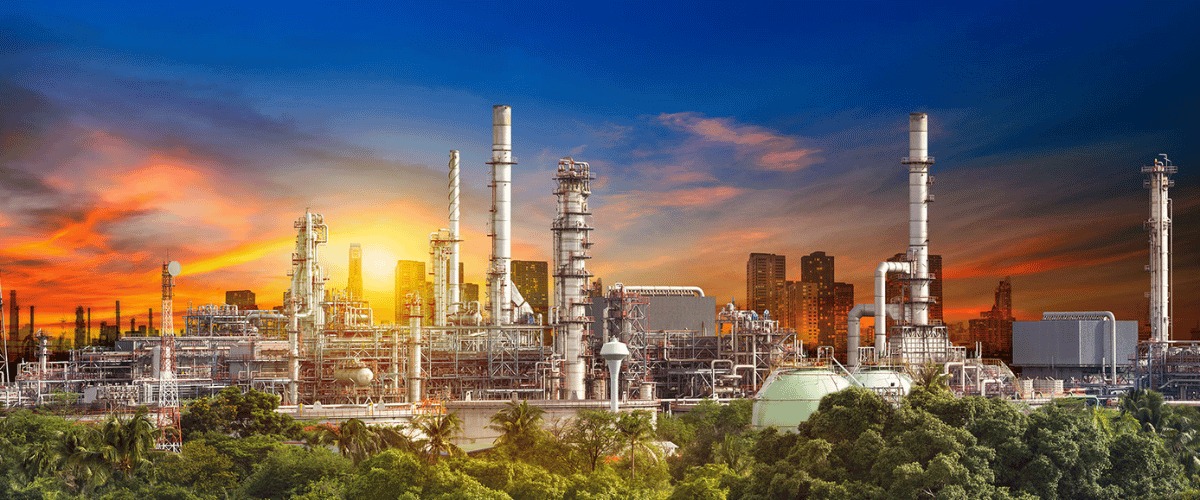 WhatsApp Image 2025-11-19 at 4.27.12 PM